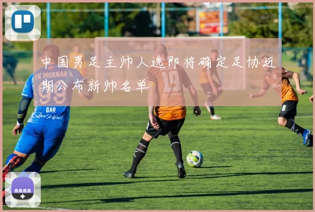 中国男足主帅人选即将确定足协近期公布新帅名单