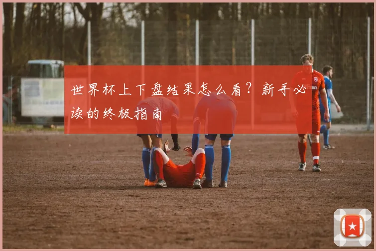 世界杯上下盘结果怎么看?新手必读的终极指南