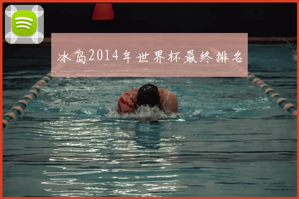 冰岛2014年世界杯最终排名